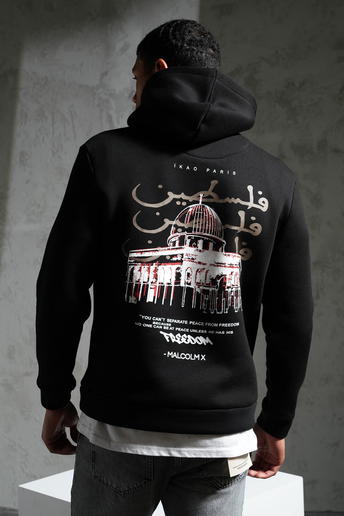 Sweat à Capuche "Freedom Dome" – Message & Résistance
