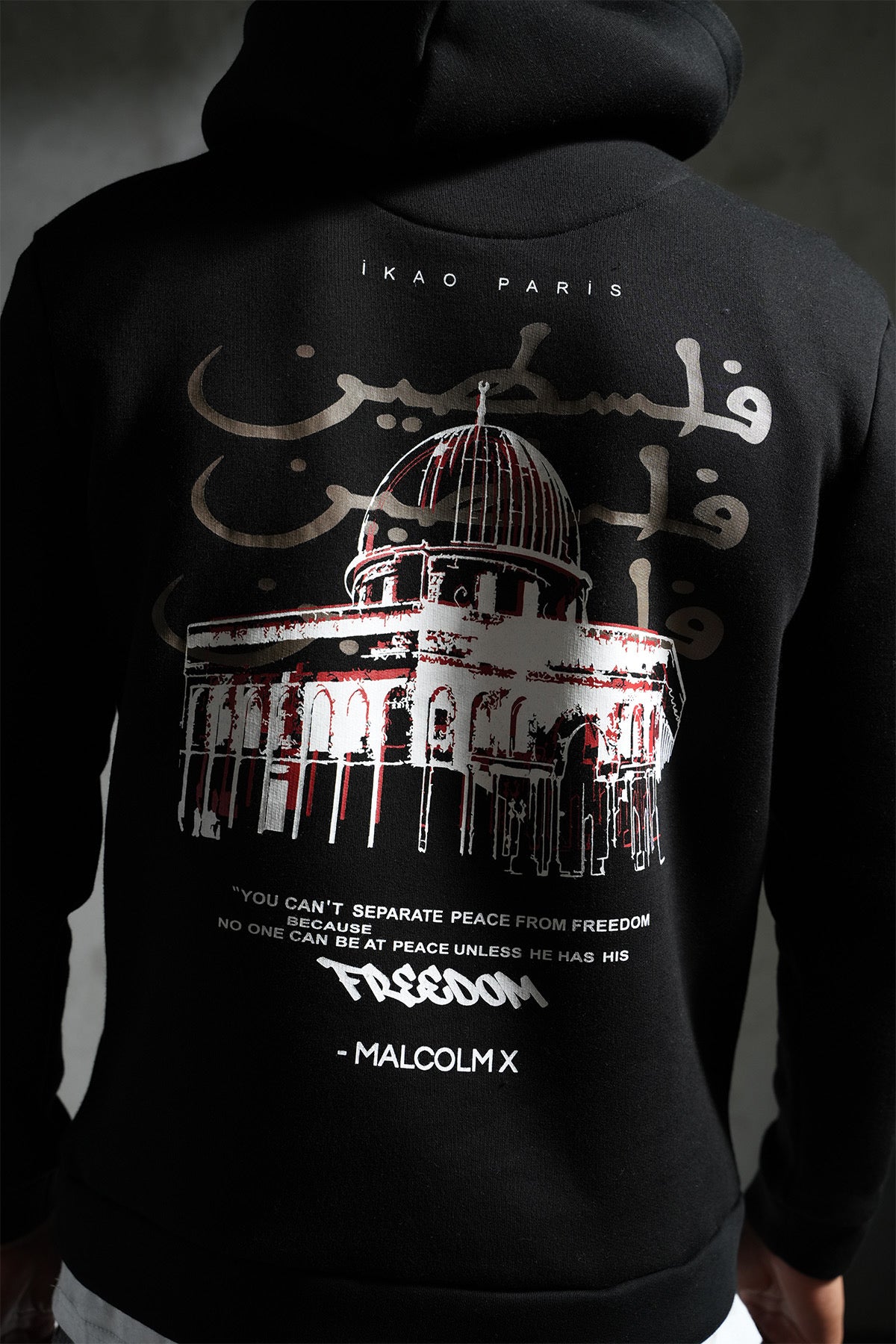 Sweat à Capuche "Freedom Dome" – Message & Résistance